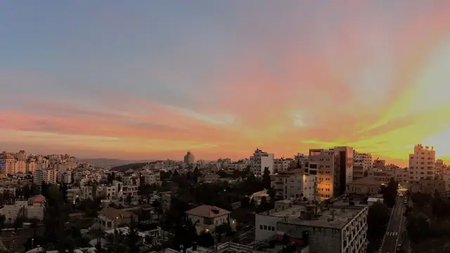فلسطين