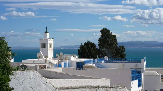 تونس